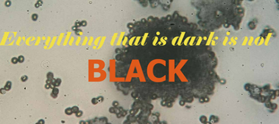 An appeal from Mucormycosis: Do not call me Black Fungus image